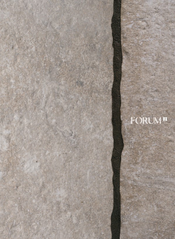 Catalog Gresie portelanata cu efect de piatra naturala - Forum 2