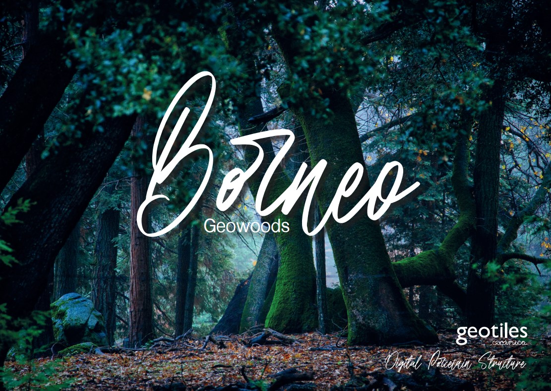 Ceramica Geotiles - Spania - Seria Borneo