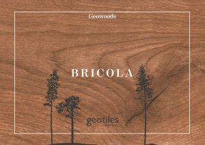 Ceramica Geotiles - Spania - Seria Bricola